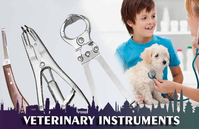 Veterinary Instruments