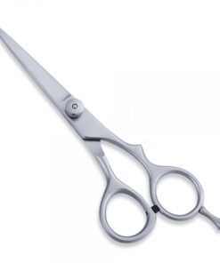 Hair Scissor