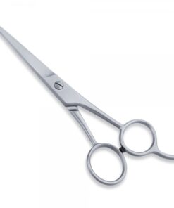 Economy Hair Scissor