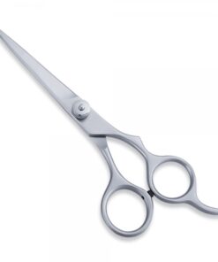 Hair Scissor