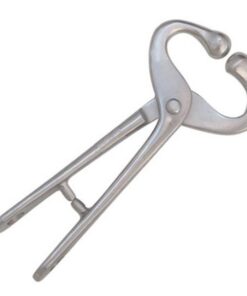 Bull Holder 1