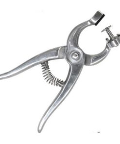 Ear Puncture