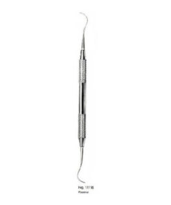 Anterior